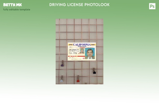 модерен стил верзија на возачка дозвола во САД Калифорнија photolook шаблон FRON